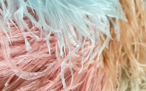 Plumas