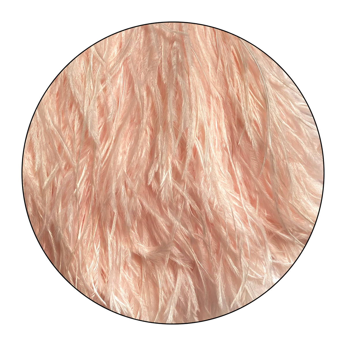 Pluma de lujo - Rosa Coral